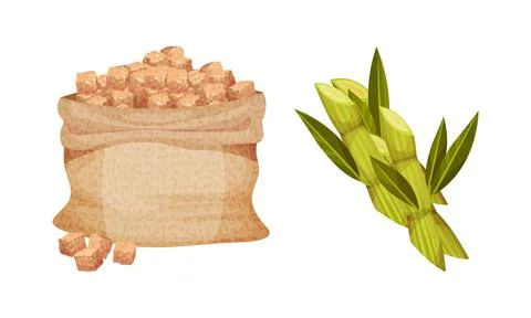 Pile of Brown Sugar Cubes in Sack and Sugarcane as Sweetener for Tea and Coffee Stock Illustration