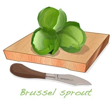 A pile of Brussels sprouts on the dish vector illustration. White background. Stock Illustration