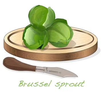 A pile of Brussels sprouts on the dish vector illustration. White background. Stock Illustration