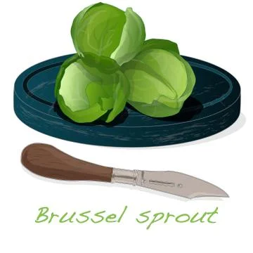A pile of Brussels sprouts on the dish vector illustration. White background. Stock Illustration