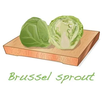 A pile of Brussels sprouts on the dish vector illustration. White background. Stock Illustration