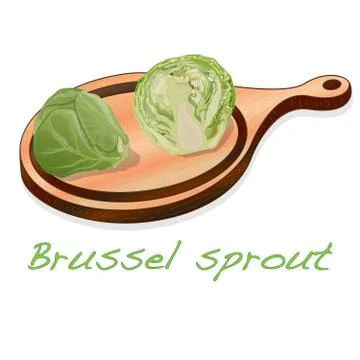 A pile of Brussels sprouts on the dish vector illustration. White background. Stock Illustration