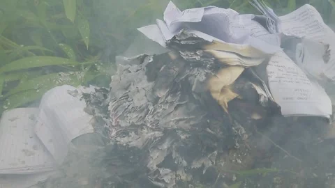 A pile of burning papers on the grass, releasing smoke Stock Footage 296143933
