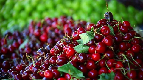 Pile of cherry Stock Footage 44404156