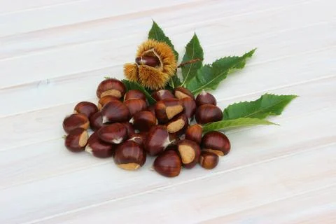Pile of chestnuts 스톡 사진
