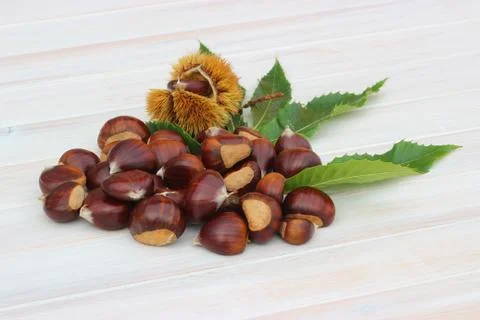 Pile of chestnuts 스톡 사진