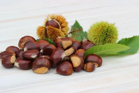 Pile of chestnuts 스톡 사진