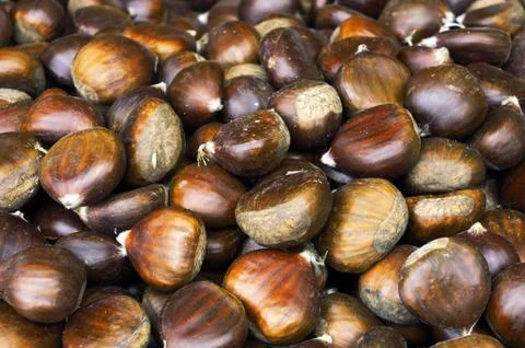 Pile of chestnuts Stock Photos