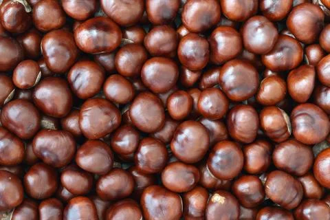 Pile of Chestnuts Stock Photos
