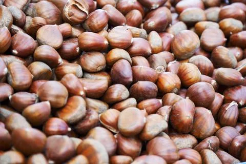 Pile of chestnuts Stock Photos