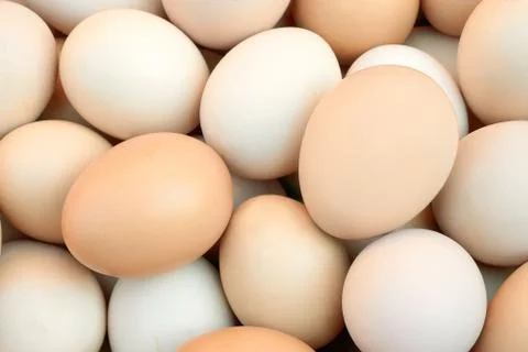 Pile of chicken eggs Stock Photos