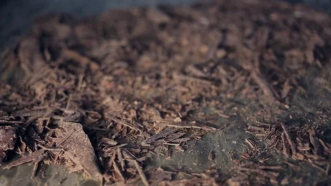 Pile of Chocolate chips Video stock 74551356