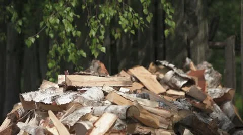 Pile of chopped firewood Vídeos de archivo 11024477