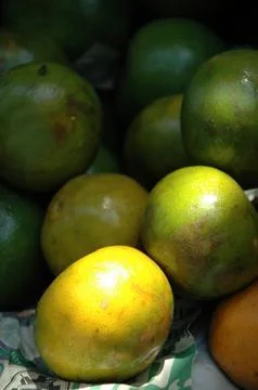 Pile of citrus Foto stock
