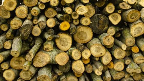 A pile of clipped tree trunks perfect for backgrounds and textures. Firewood Stock Photos