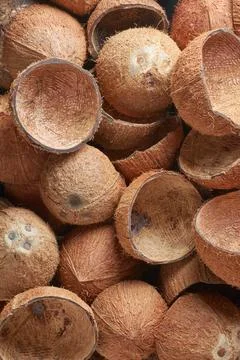 Pile of coconut fruit shell, full frame background Stock Photos