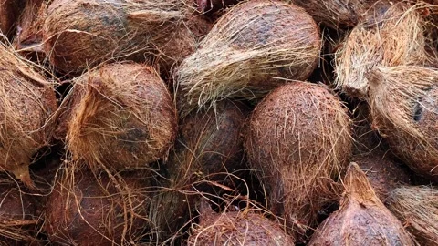 Pile of coconuts on display on a market stall.  Zoom in. Stock Footage 168603059