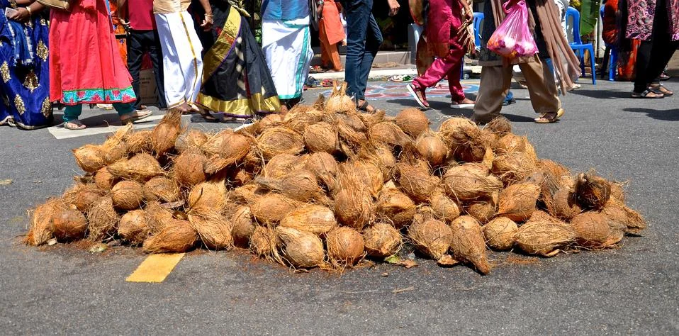 A pile of coconuts Stock Photos