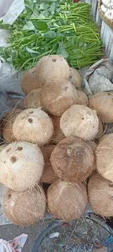 Pile of coconuts Stock Photos
