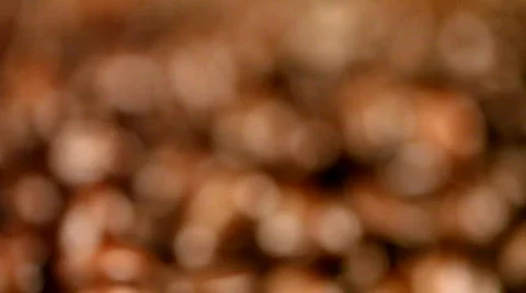 Pile of coffe beans Stock Footage 311336