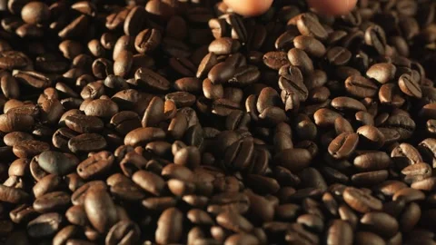 Pile of coffee beans with a lot of them being brown Stock Footage 304563374