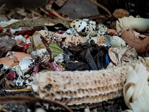 A pile of compost containing various organic kitchen scraps and eggshells. Stock Photos