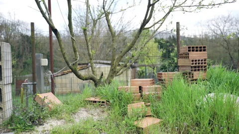 Pile of construction bricks in rustic green rural garden panning Stock Footage 325620387