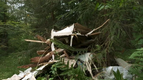 Pile of construction debris in the coniferous forest, environmental pollution. Stock Footage 145070017