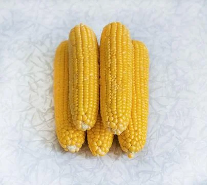 Pile of corn cobs on a light background, vegetables stacked pile Stock Photos