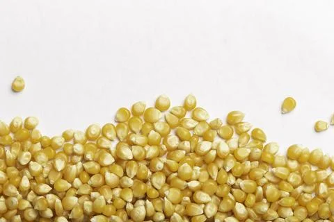 Pile of corn kernels for popcorn, top view Stock Photos