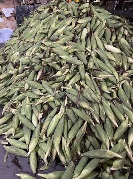 Pile of Corn Stock Photos