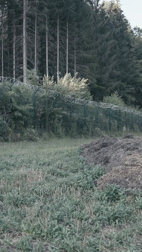 Pile of crap in front of border barbed fence Stock Footage 324967928