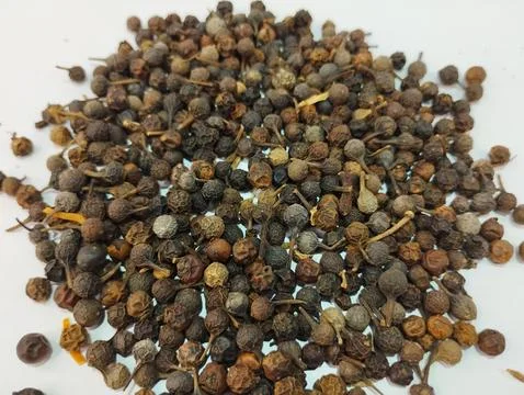 Pile of Cubeb Pepper on White Background Stock Photos