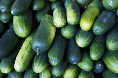 Pile of cucumbers Stock Photos