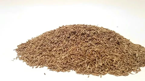 Pile of Cumin seeds on white background isolated, moving from right to left Stock Footage 276530481