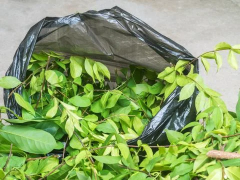 A pile of cut branch in garbage bage Foto stock