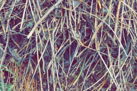 Pile of cut branches texture background, a bunch of grunge Stock Photos