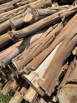 Pile of cut tree branches Stock Photos
