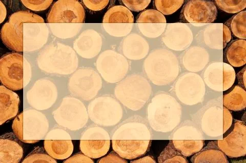 A pile of cut tree trunks with year rings in framework Stock Photos