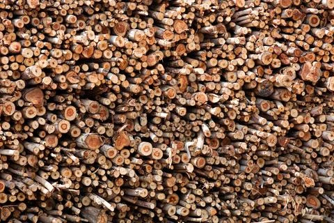 A pile of cut wood for construction ( texture, background, pattern) Stock Photos