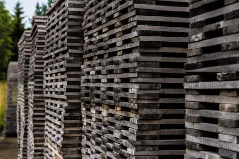 Pile of decayed lumber stacked on top each other Фото