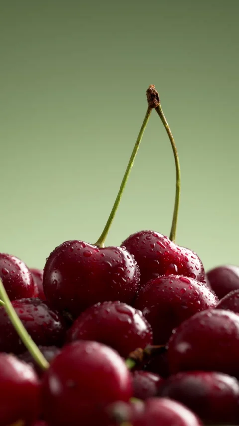A pile of delicious cherries on a green gradient background. 動画素材 314179518