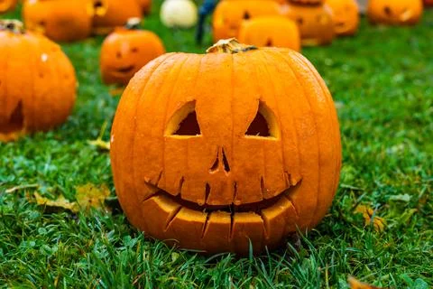 A pile of different colored pumpkins Stock Photos