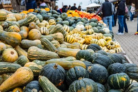 A pile of different colored pumpkins Stock Photos