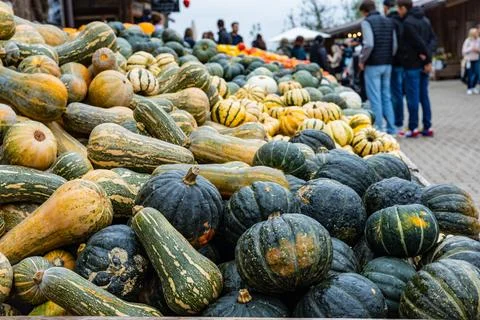 A pile of different colored pumpkins Stock Photos