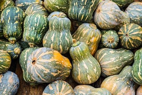 A pile of different colored pumpkins Stock Photos