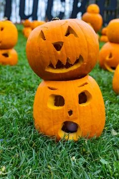 A pile of different colored pumpkins Stock Photos