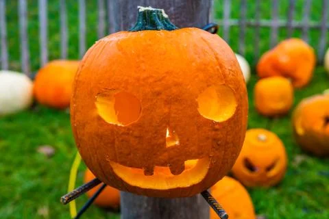 A pile of different colored pumpkins Stock Photos