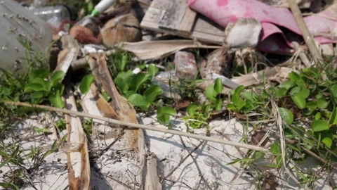 Pile of different plastic waste on the beach Stock Footage 233509781