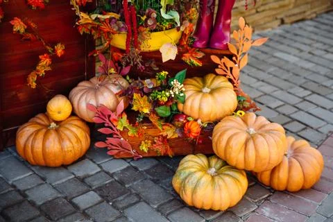 Pile of different raw pumpkins. Stock-Fotos